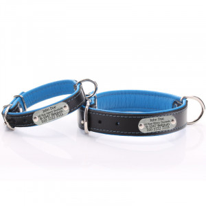 Black & Blue Leather Dog...