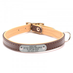 Cat collar with nameplate hotsell