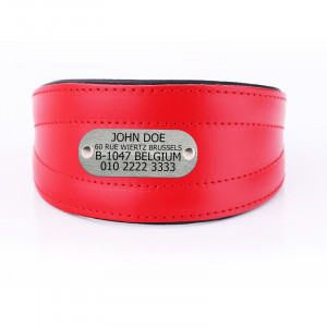 Red Sight Hound Collar with...