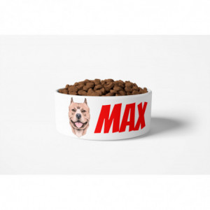 American Pitbull Bowl