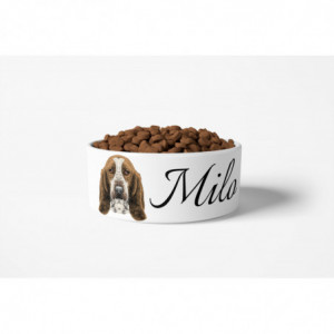 Basset Hound Bowl