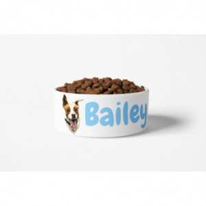 Jack Russell Terrier Bowl 2