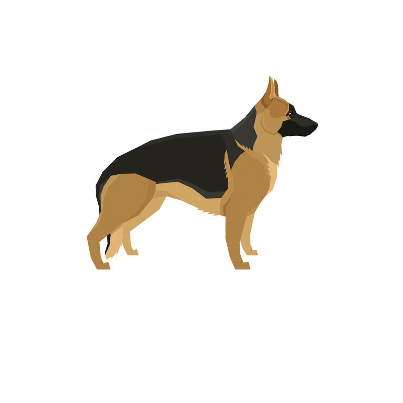 Personalized German Shepherd Blanket