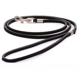 Petite Laisse Pour Chien En...