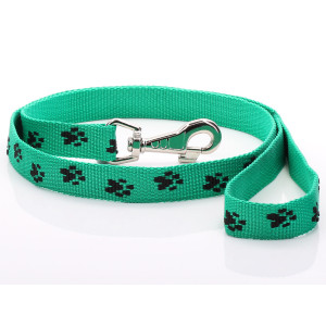 Green Paw Print Dog Lead