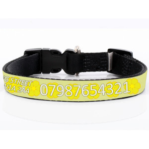 Yellow Daisy Dog Collar...