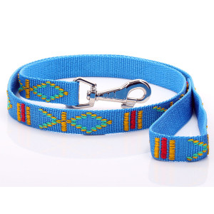 Aqua Blue Aztec Pattern Dog...