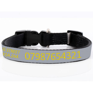 Adjustable Grey Dog Collar...