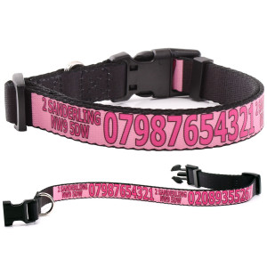 Adjustable Pink Dog Collar...