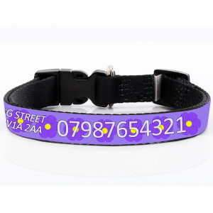Purple Daisy Dog Collar...