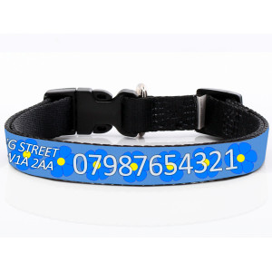 Blue Daisy Dog Collar with...