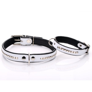 White Leather Dog Collar...