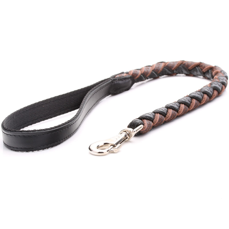 Set Guinzaglio E Collare In Pelle Per Cani Rosa Personalizzato Piccola Grande EB - Foto 9