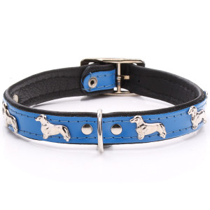 Blue Leather Dachshund Collar