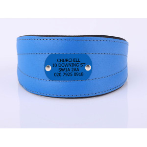 Collar Para Perro Con...