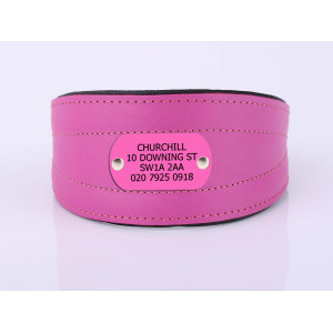 Collar Para Perro Con...