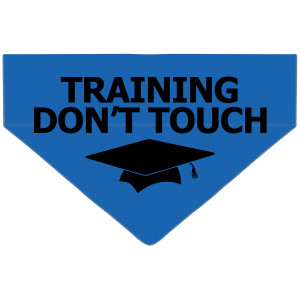 Hund I Utbildning Bandana