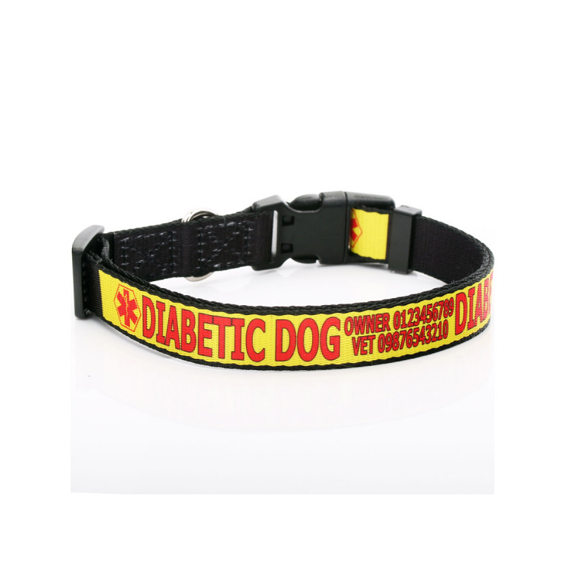 Diabetic cat collar 2025