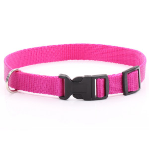 Adjustable Fuchsia Dog Collar