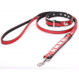 Rood Westie Halsband & Lead...