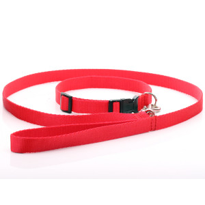 Red Nylon Dog Collar & Lead...