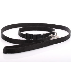 Black Nylon Dog Collar &...