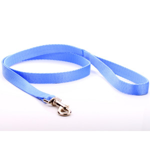 Baby Blue Nylon Dog Lead