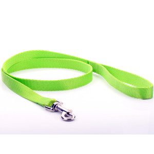 Lime Groen Nylon Hondenriem