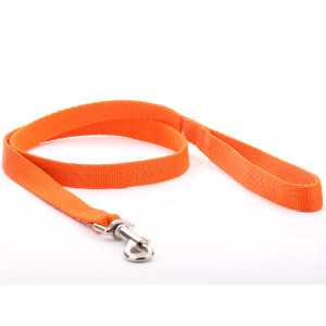 Oranje Nylon Hondenriem