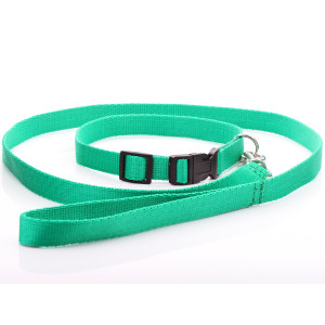 Green Nylon Dog Collar &...