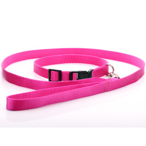 Fuchsia Nylon Dog Collar &...