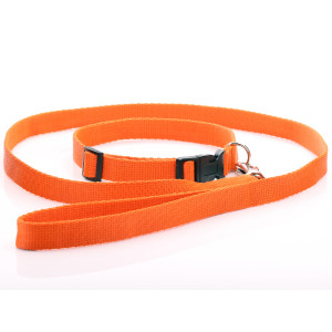 Orange Nylon Hundehalsband...