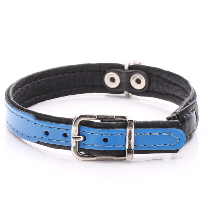Personalised Blue Leather Cat Collar