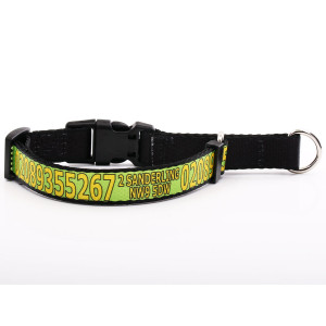 Green Martingale Collar...