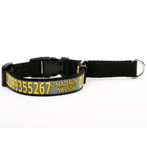 Grey Martingale Collar with...