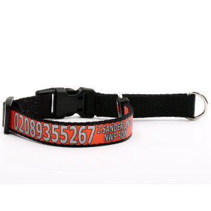 Orange Martingale Collar...