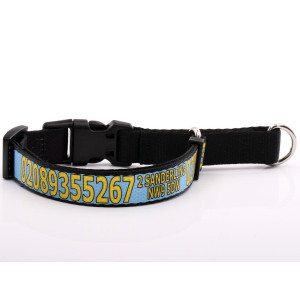 Baby Blue Martingale Collar...