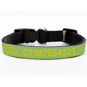 Adjustable Green Dog Collar...