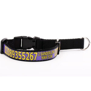 Guler Martingale Violet Cu...