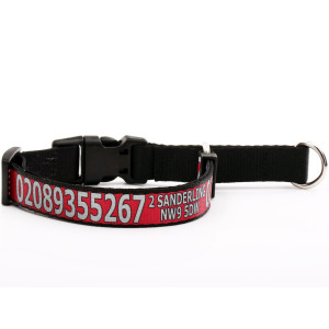 Red Martingale Collar with...