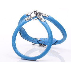 Blå Rullade Läder Dog Harness