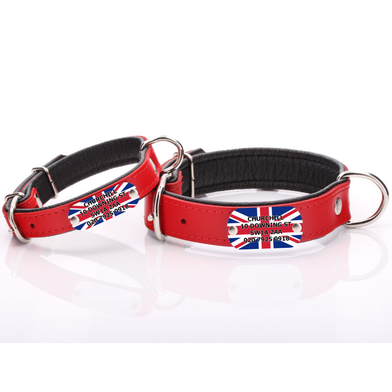 Dog collar with nameplate uk new arrivals