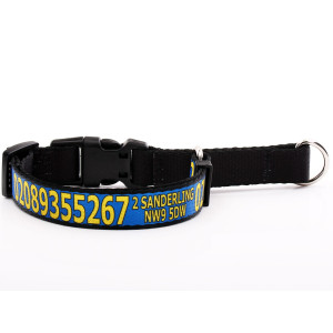 Blue Martingale Collar with...