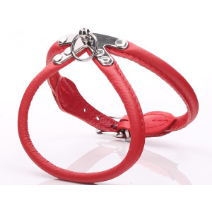 Red Rolled Leather Dog Harness