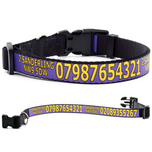 adjustable-purple-dog-collar-with-print.jpg