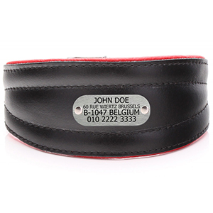 black-red-sight-hound-collar-with-nameplate.jpg