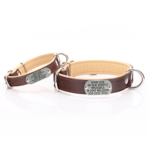 brown-beige-leather-dog-collar-with-attached-nameplate.jpg