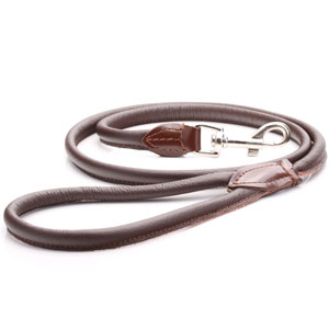 brown-rolled-leather-dog-lead.jpg