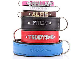 piele -dog-collars-23.jpg