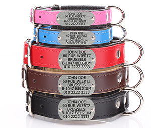 ad -plate-dog-collars.jpg